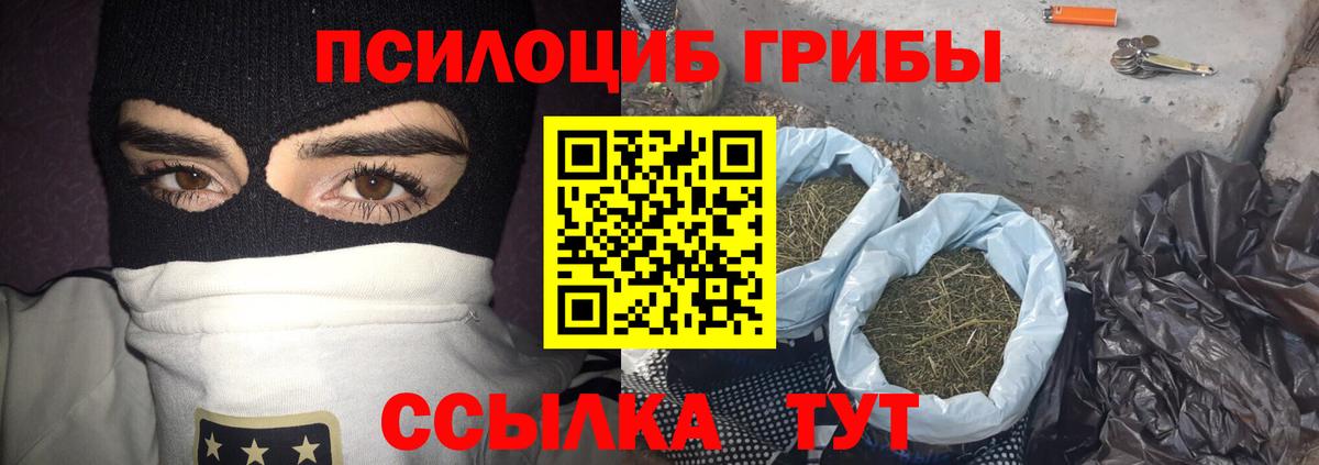 Гагарин  Псилоцибиновые грибы ЛСД  Вход с VPN 
